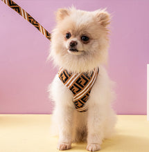 Load image into Gallery viewer, NEW Designer soft harness