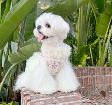 Load image into Gallery viewer, NEW Ella dog fleece dress