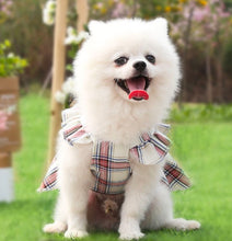 Load image into Gallery viewer, Miss Bow dog dress
