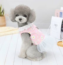 Load image into Gallery viewer, NEW Daisy D dog dress