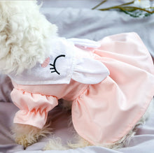 Load image into Gallery viewer, NEW Love Bunny dog dress