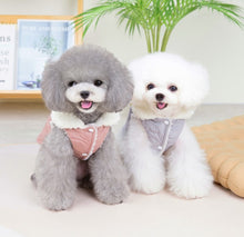 Load image into Gallery viewer, Mickey dog jacket