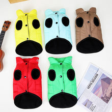 Load image into Gallery viewer, Sports dog jacket