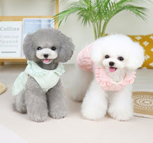 Load image into Gallery viewer, NEW Klaire dog jacket