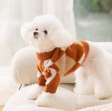 Load image into Gallery viewer, Mr Bunny pet jumper