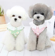 Load image into Gallery viewer, NEW Daisy D dog dress
