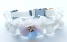 Load image into Gallery viewer, NEW Diva dog collar