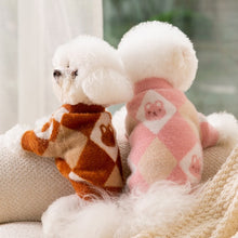 Load image into Gallery viewer, Mr Bunny pet jumper