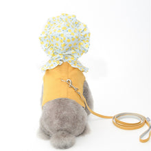 Load image into Gallery viewer, Fruit dog harness set