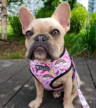 Load image into Gallery viewer, NEW Unicorn dog harness set pink