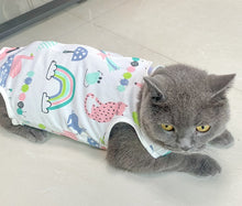 Load image into Gallery viewer, NEW Surgery Post operation dog onesie