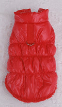 Load image into Gallery viewer, Fleece D ring jacket