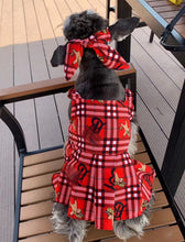 Load image into Gallery viewer, NEW BB dog dress