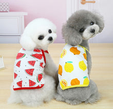 Load image into Gallery viewer, Summer Fruit dog t-shirt