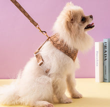 Load image into Gallery viewer, Designer soft harness