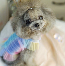 Load image into Gallery viewer, NEW Fairy dog top with hair bow