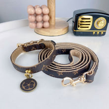 Load image into Gallery viewer, NEW Designer inspired Orig. collar and lead set