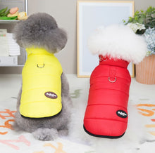 Load image into Gallery viewer, Sports dog jacket