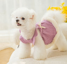 Load image into Gallery viewer, NEW Winter Queen dog dress