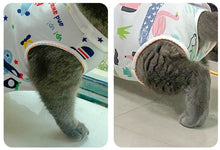 Load image into Gallery viewer, NEW Surgery Post operation dog onesie