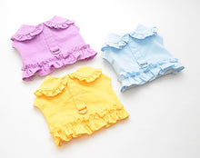 Load image into Gallery viewer, Wave dog harness set