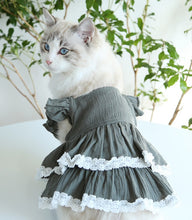 Load image into Gallery viewer, Tiered Ruffle Lace Dog Dress