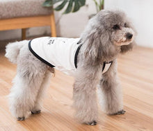 Load image into Gallery viewer, Birthday dog top - Isle For Dogs