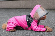 Load image into Gallery viewer, NEW Designer dog rain all in one