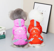 Load image into Gallery viewer, NEW Puppy Angel dog Rain all in one