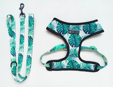 Load image into Gallery viewer, NEW Tropical dog harness set