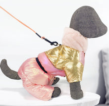 Load image into Gallery viewer, NEW Poooshe dog all in one