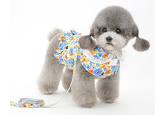 Load image into Gallery viewer, NEW Fleure dog harness set