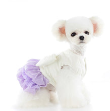 Load image into Gallery viewer, NEW Lady dog coat