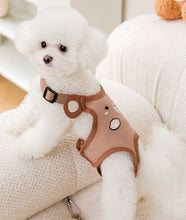 Load image into Gallery viewer, NEW Pants for dogs