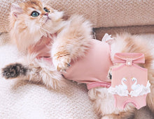 Load image into Gallery viewer, NEW Surgery Post operation dog onesie