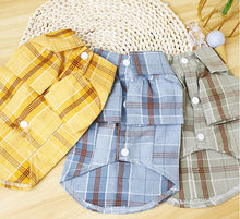 Load image into Gallery viewer, Mr.Teddy dog polo