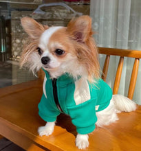 Load image into Gallery viewer, NEW Squid games dog jumper