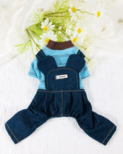 Load image into Gallery viewer, NEW Mikey dog all in one