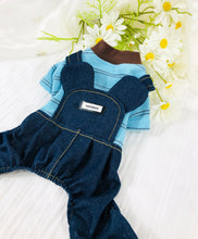 Load image into Gallery viewer, NEW Mikey dog all in one