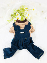 Load image into Gallery viewer, NEW Mikey dog all in one