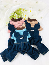 Load image into Gallery viewer, NEW Mikey dog all in one