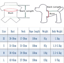 Load image into Gallery viewer, NEW Doggio pet harness