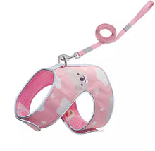 Load image into Gallery viewer, Happy Coala pet harness