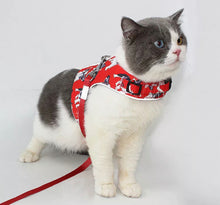 Load image into Gallery viewer, NEW Doggio pet harness