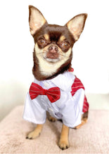 Load image into Gallery viewer, NEW Dog Tuxedo