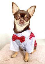 Load image into Gallery viewer, Dog Tuxedo - Weddings & Occasions