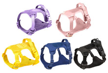 Load image into Gallery viewer, Dog Walkies harness