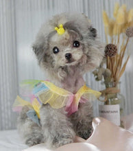 Load image into Gallery viewer, NEW Fairy dog top with hair bow