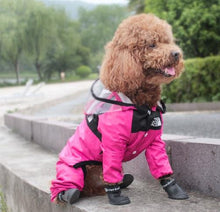 Load image into Gallery viewer, NEW Designer dog rain all in one