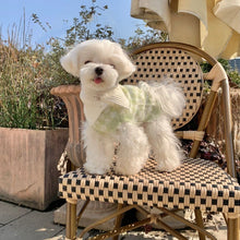 Load image into Gallery viewer, NEW Square dog jumper